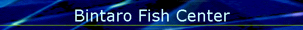 Bintaro Fish Center