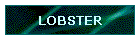 LOBSTER