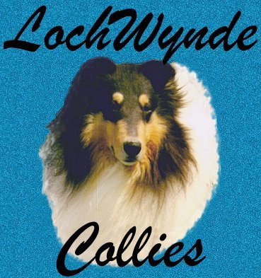 Ch. LochWynde's Kitleigh Advocate of LochWynde Collies