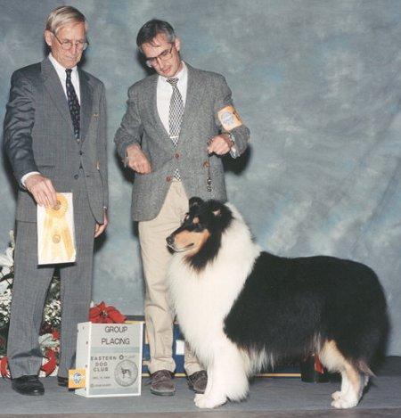 Am/Can Ch. LochWynde Kitleigh Advocate