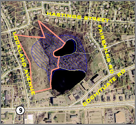 Site Map of Sucker Pond Area