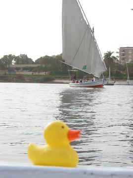 Rubber ducky sailing on the Nile.