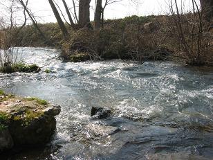 This is the Gagitis River somewhere near where Lydia was baptized.&nbsp; 