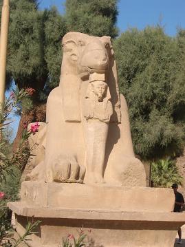 Ram and a statue of Ramses II.&nbsp; Rams and sheep were introduced to Egypt by the Hebrew people.