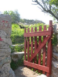 Red gate leading to a nice green field.&nbsp; Notice the cat in the background.