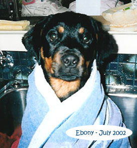 ebony