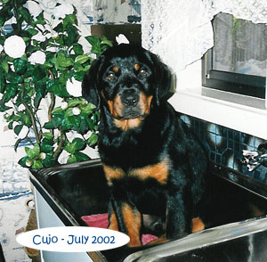 cujo