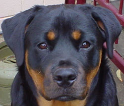 lexi nov2002