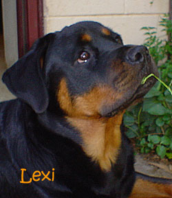 lexi nov2002