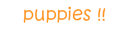 puppies