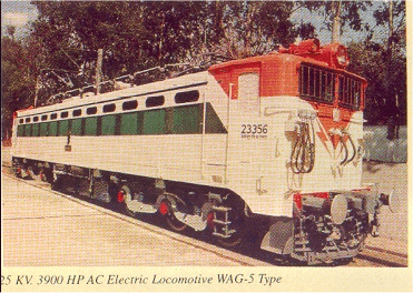 Wag 5