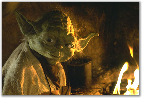 yoda by the fire