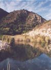 Untitled-1s.JPG (7831 bytes)