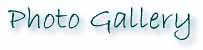 gal.jpg (4784 bytes)