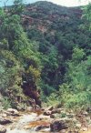 kloof3s.jpg (6807 bytes)