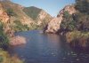rivierkuils.jpg (2654 bytes)