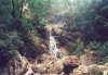 waterfal2s.jpg (3332 bytes)