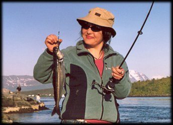 aatromso_fish013.jpg (47107 bytes)
