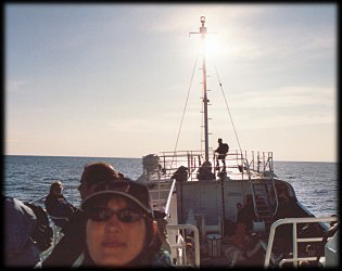 Staff locate sperm whale by hydrofones and if lucky boat can drive just next to the whale