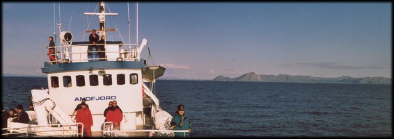Normally boat trip lasts about 4-5 hours, this time only some 3 hours