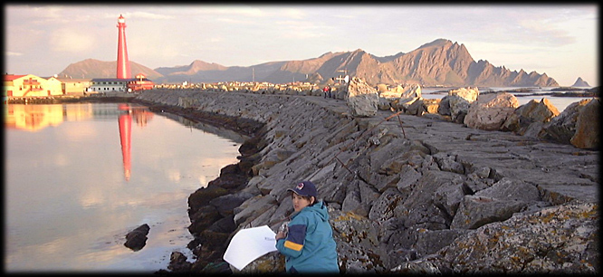 andenes026.jpg (140885 bytes)