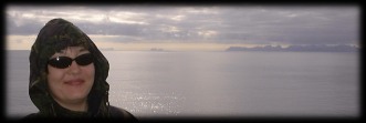Dark pilot whales were swimming close to ferry!