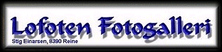 Excellent Lofoten fotos