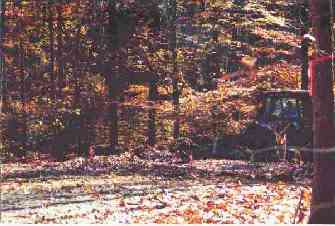 log home construction, clearing the site