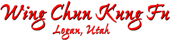 Wing Chun Kung Fu - Logan,Utah
