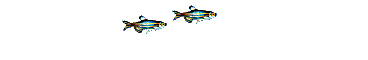 AniFish.gif