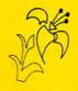 parim4.gif (12135 bytes)