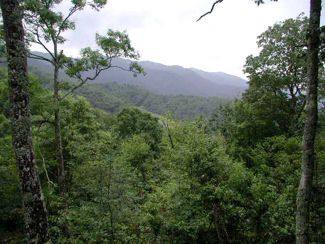 View of Fall Color