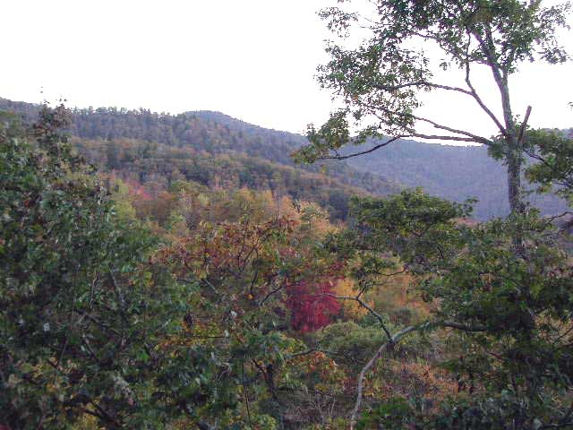 Photo of Scenic View