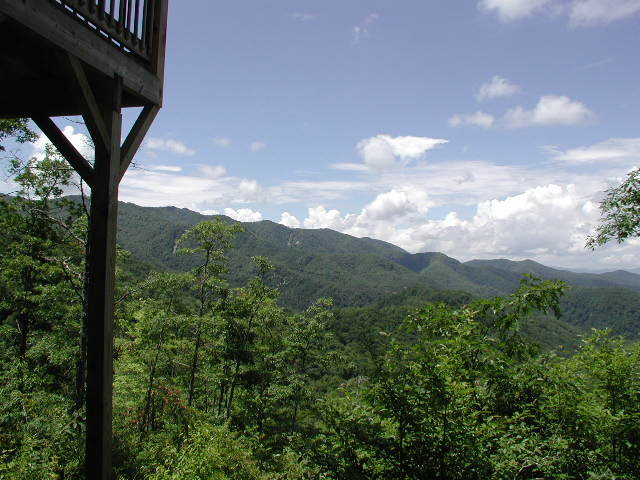 Scenic View outside Cabin