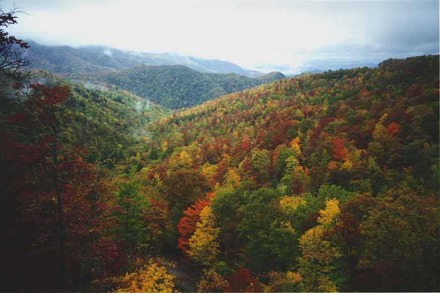 View of Fall Color