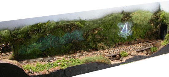 Overview of the Camp 4 Rainforest scene
