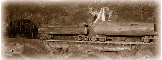 Period photo of the Class A Shay hauling a load of logs out of the Rainforest
