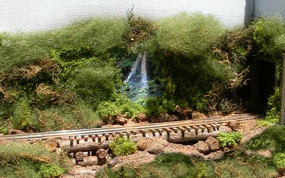 The pig-sty pier bridge, still standing amongst the Rainforest