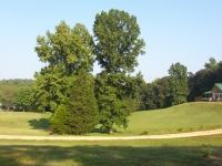 Approx. 10 acres cleared