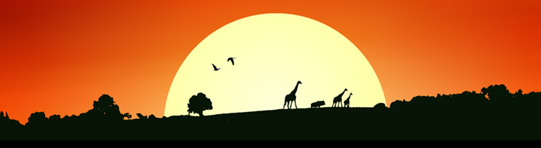 webdesigninfo-banner
