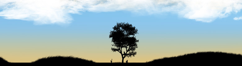 webdesigninfo-banner