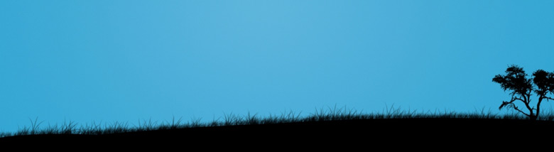 webdesigninfo-banner