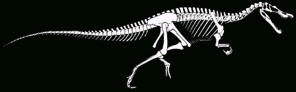 Baryonyx walkeri