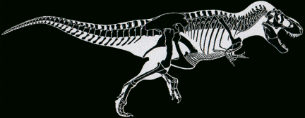 Tyrannosaurus rex