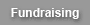 fundraising