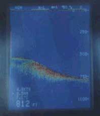 sonar of nessie's grotto