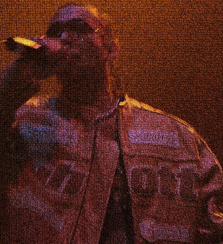 Sean Paul, this pic was created in mosaic form by LoLa A.