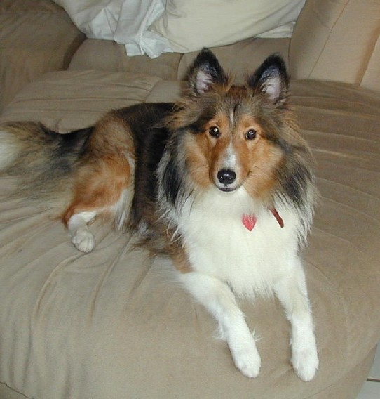 Cleo 2002