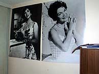 Gina poster