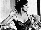 Gina Lollobrigida Wallpaper 4